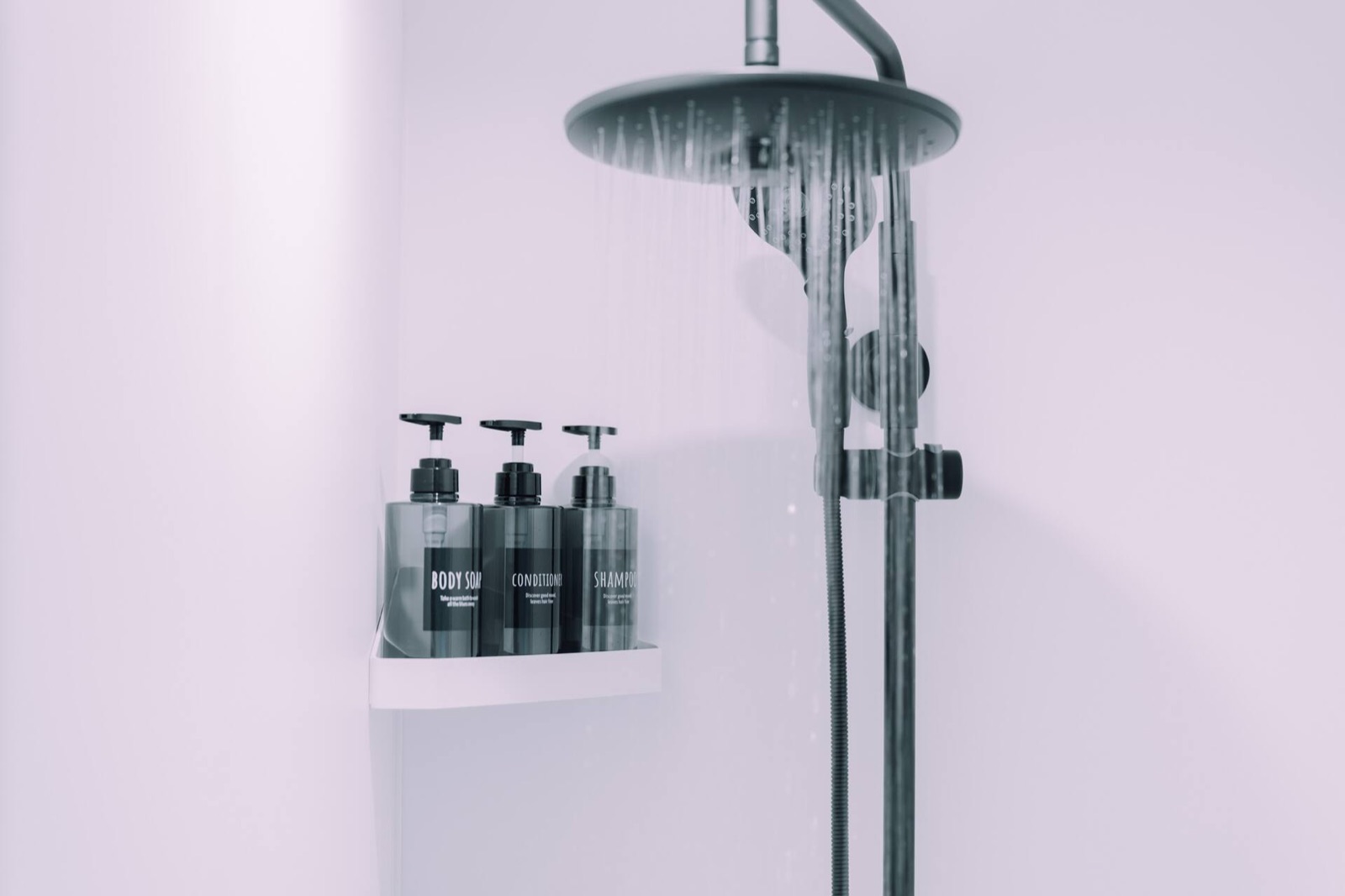 Minimalist Loft — Space-saving shower