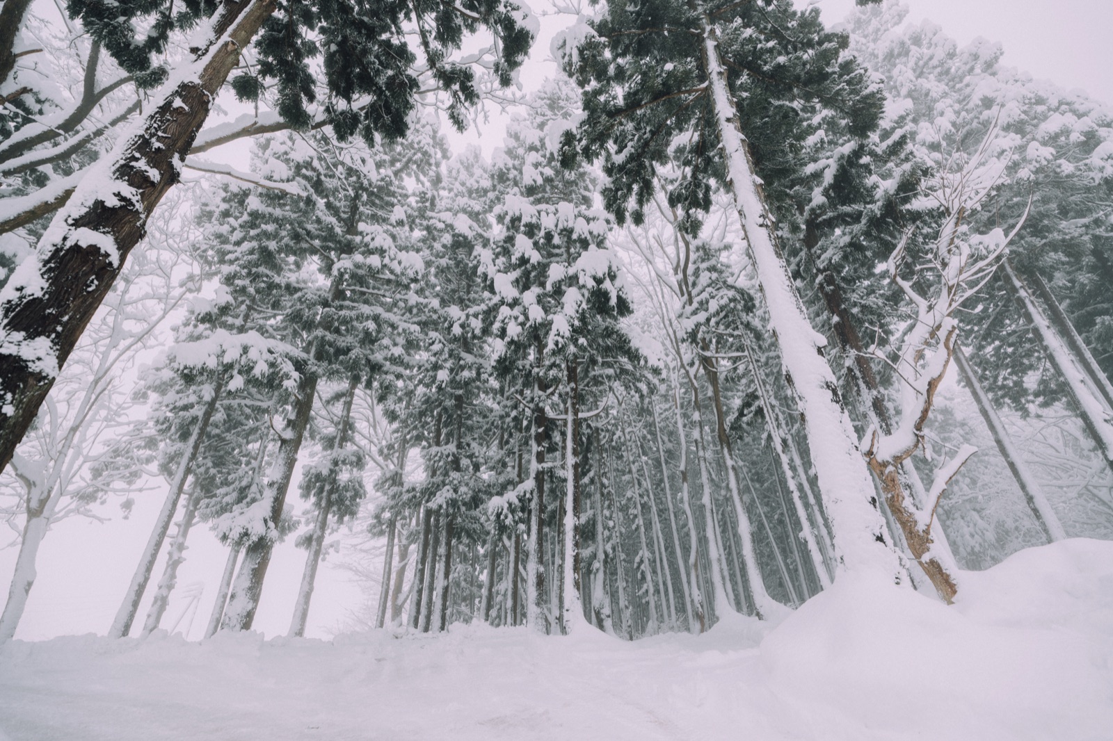 Yuzawa Onsen Lodge — Yuzawa